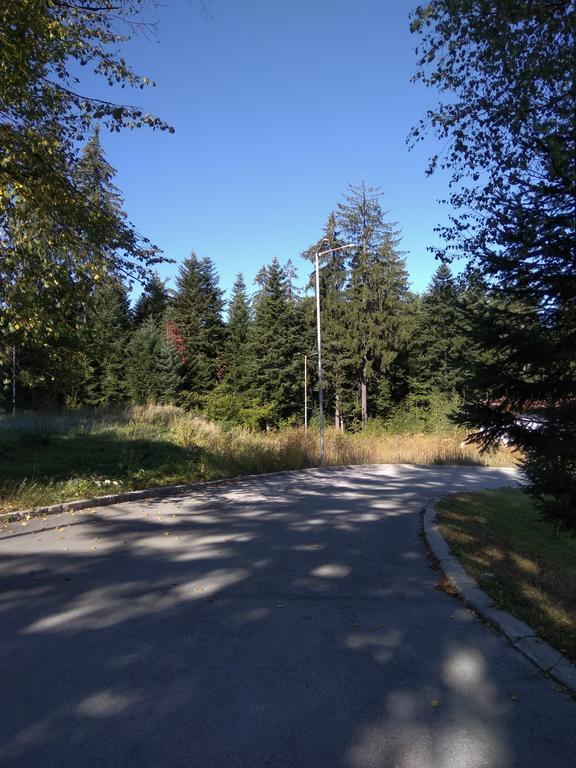 Apartment In Borovets Gardens C17 Экстерьер фото
